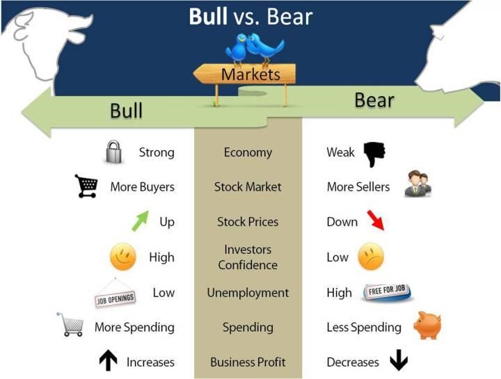 The Bull and the Bear
