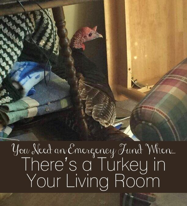 Featured Blog: The True Tale of the Turkey Break-In (and Other Reasons You Need an Emergency Fund)